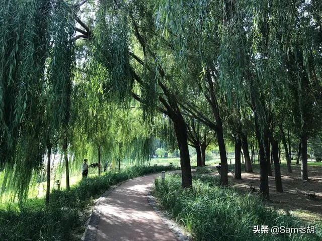 坐标沈阳，买了长白“富人区”房。真的成了富人吗？