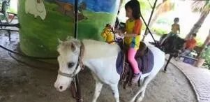 成都旋转真马游戏，乘坐旋转真马该注意哪些？