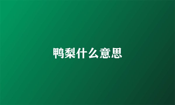 鸭梨什么意思