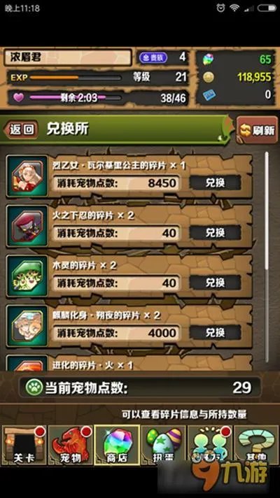 为想要入驻《智龙迷城》国服的玩家扫盲 完全本土化究竟坑不坑？