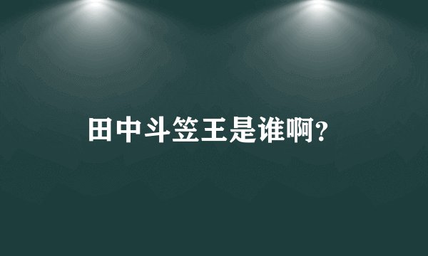 田中斗笠王是谁啊？