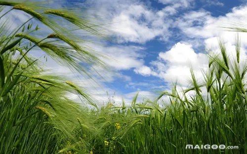 青海旅游景点大全 青海旅游地图 青海景点大盘点【青海旅游】