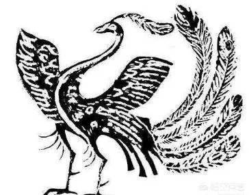 为什么中国是龙图腾不是凤图腾？