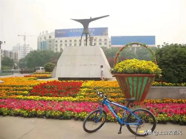 舒红兵四段婚姻