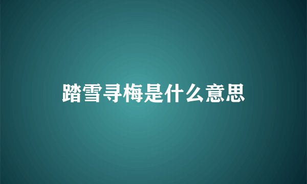 踏雪寻梅是什么意思