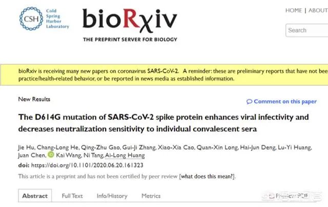 29% 新冠病毒样本出现D614G变异,世卫组织称「不是新的变异,已在欧美传播」,意味着什么?