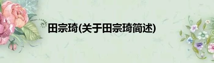 田宗琦(关于田宗琦简述)