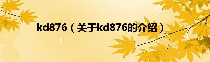 kd876（关于kd876的介绍）