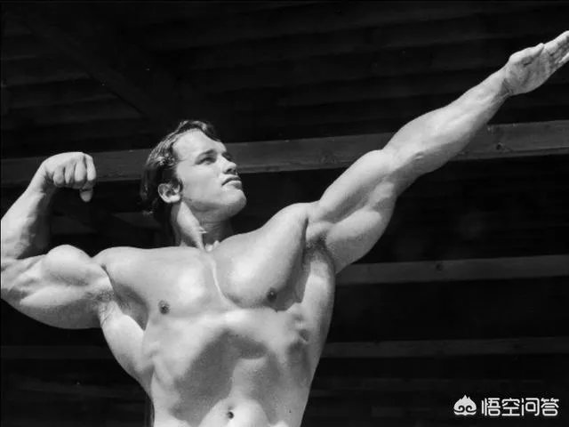 施瓦辛格和史泰龙谁比较大牌？