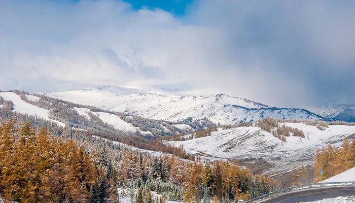 阿尔泰山在哪 阿尔泰山位置