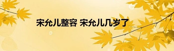 宋允儿整容 宋允儿几岁了