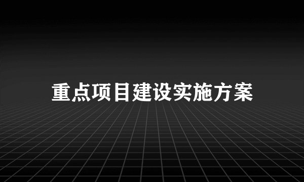 重点项目建设实施方案