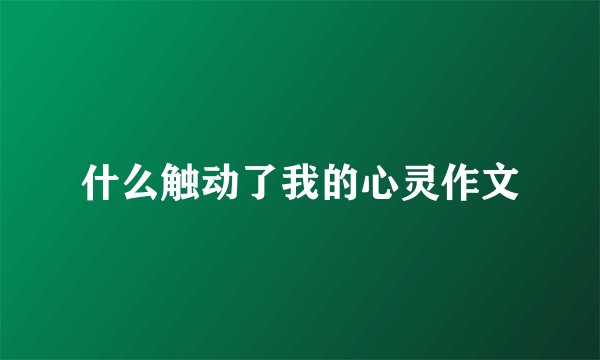 什么触动了我的心灵作文