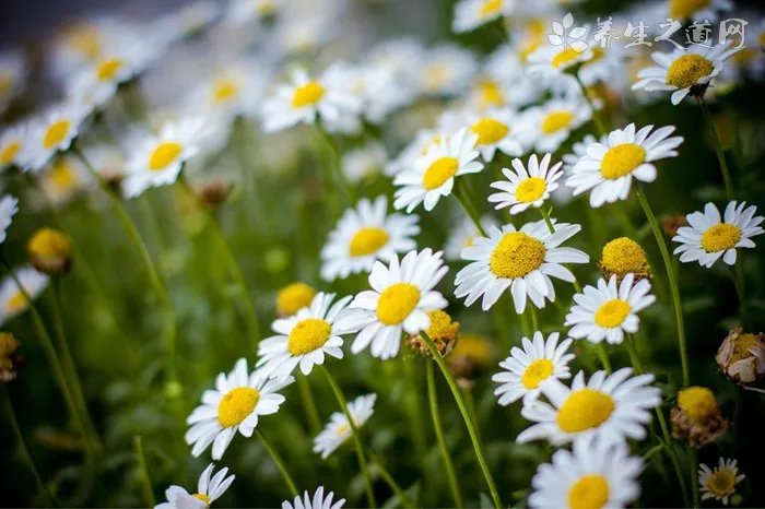 防晒衣真的能防晒吗