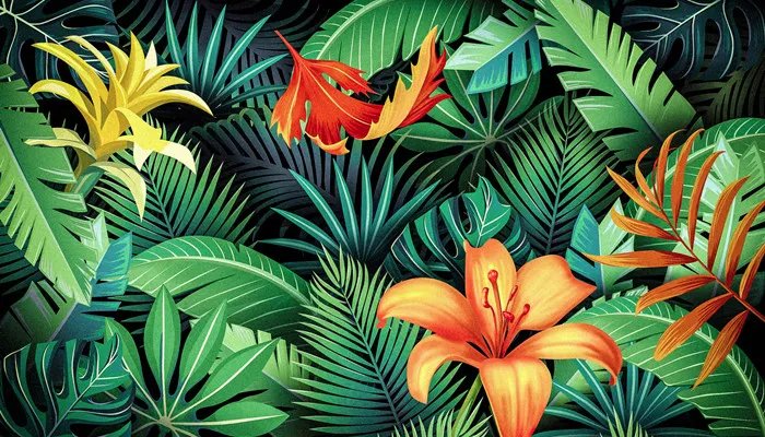 火鹤花有毒吗 室内养火鹤花有毒吗