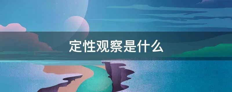 定性观察是什么
