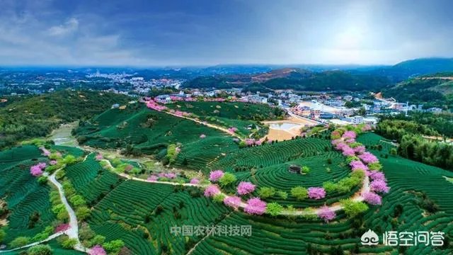 福建省漳平是哪个市？