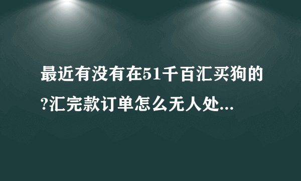 最近有没有在51千百汇买狗的?汇完款订单怎么无人处理呢?是不是网站停了？
