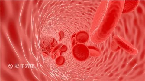 门静脉内径多少正常