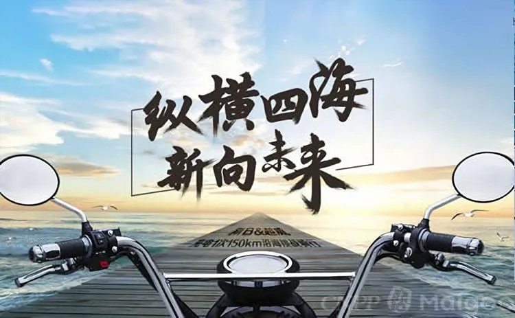 品牌榜：2023年电动车十大品牌排行榜 投票结果公布【新】