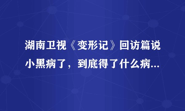 湖南卫视《变形记》回访篇说小黑病了，到底得了什么病？！现在怎么样了？！