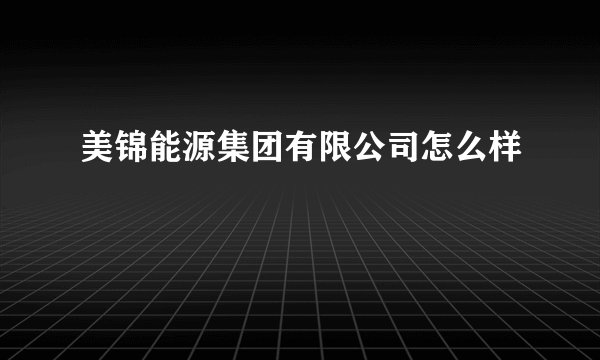 美锦能源集团有限公司怎么样