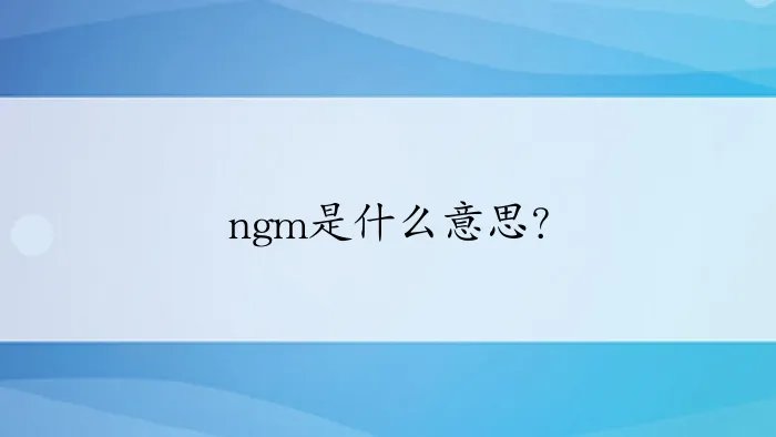 ngm是什么意思？