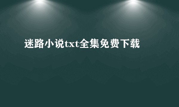 迷路小说txt全集免费下载