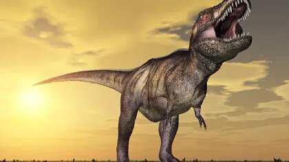 霸王龙是暴龙吗