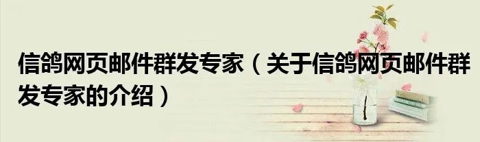 信鸽网页邮件群发专家（关于信鸽网页邮件群发专家的介绍）