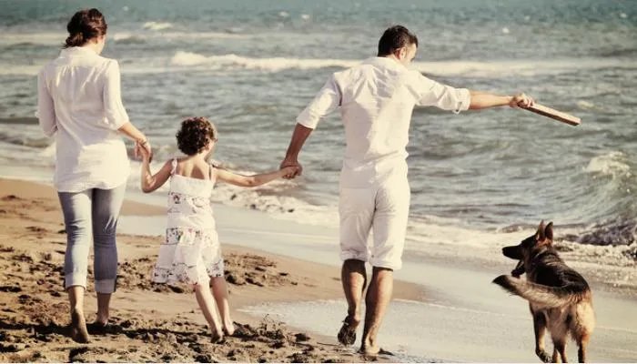 ​宠物的名字可爱霸气 霸气宠物名字大全