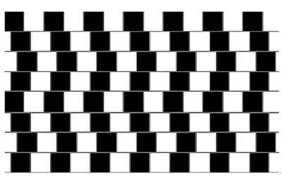 黑林错觉：黑林错觉图片,视觉方面的错觉【视频】