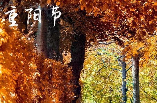 重阳节的来历30字