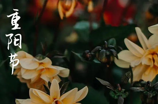 重阳节的来历30字
