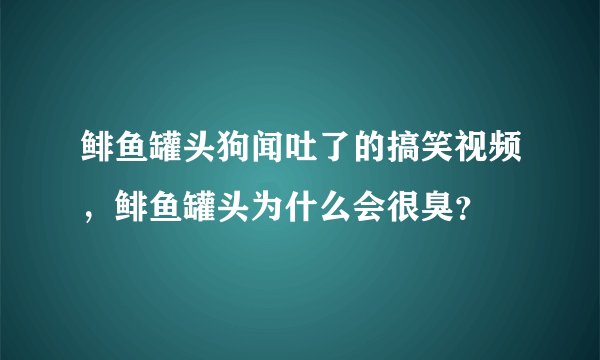 鲱鱼罐头狗闻吐了的搞笑视频，鲱鱼罐头为什么会很臭？