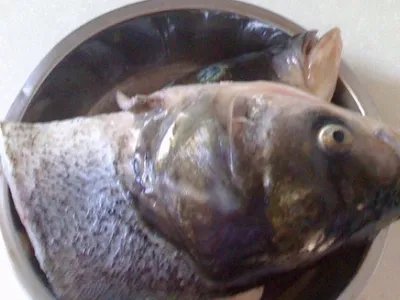 清炖鱼汤怎么做好喝又营养