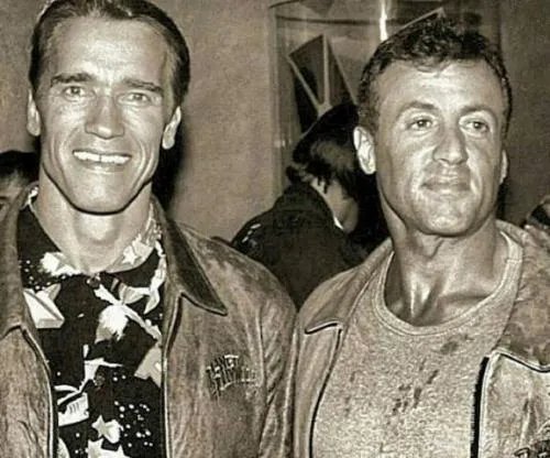 施瓦辛格和史泰龙谁比较大牌？