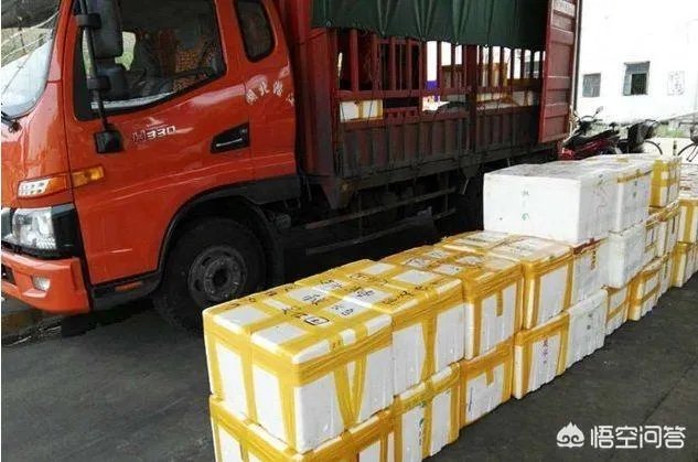 收购小龙虾的贩子技巧