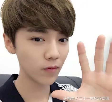 《爱情公寓5》还会出吗？