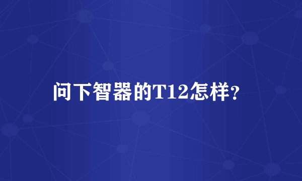 问下智器的T12怎样？