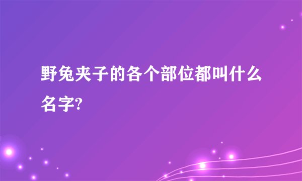 野兔夹子的各个部位都叫什么名字?
