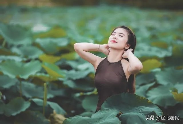 美文在今日头条里属于哪个领域？