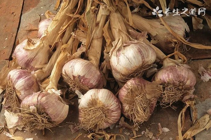 宝宝的简单营养食谱