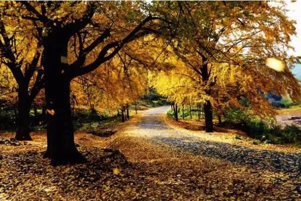 俄罗斯十大经典歌曲