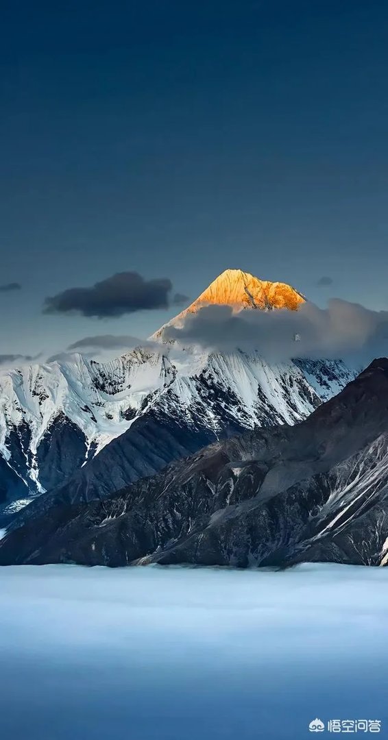 世界上谁是最美的人？