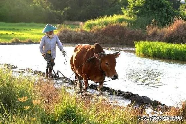 农民怎样才能发家致富?哪里的农民最赚钱？