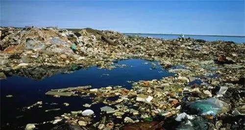 海洋中出现垃圾大陆，对我国海域会造成什么样的影响？