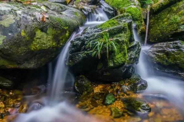 涓涓细流什么意思