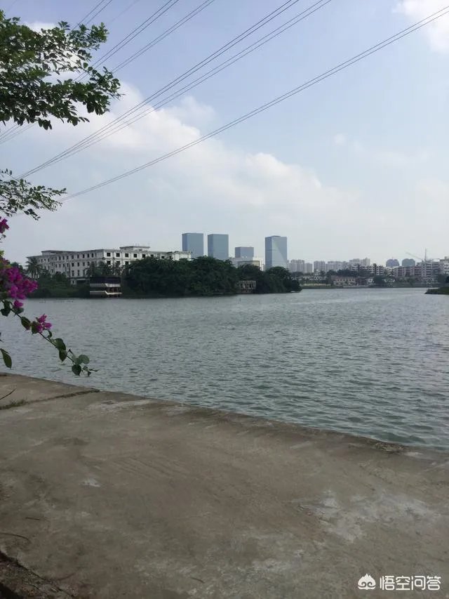 你认为火车能设“儿童车厢”吗？