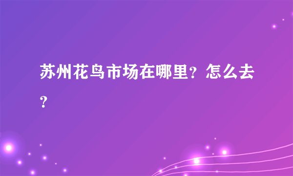 苏州花鸟市场在哪里？怎么去？